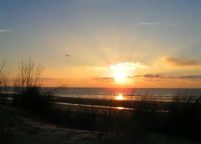 Mimi 度假居 康村